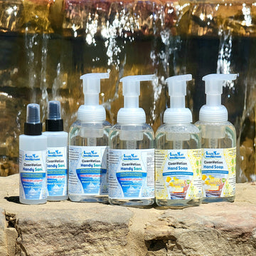 HandySani Spray and Gentle Plant Based Foaming Hand Soap - Double Bundle